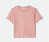 Sheer Slim Lace Top